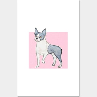 Boston terrier Posters and Art